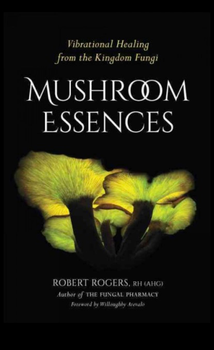 Mushroom Essence