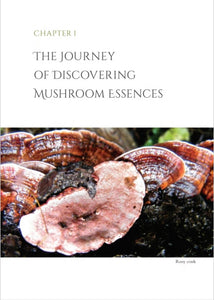 Mushroom Essence